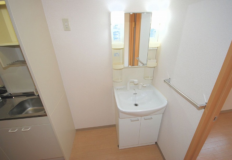 Washroom. Wash basin