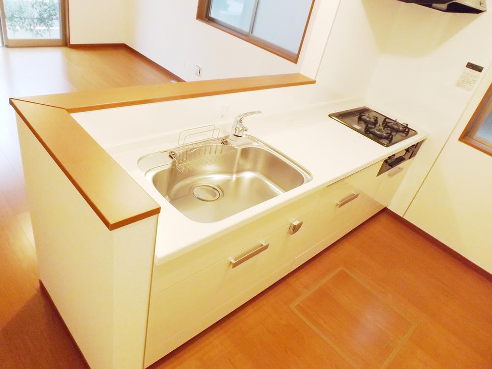 Kitchen. Local photo (kitchen) Slide storage! Water purifier with shower!