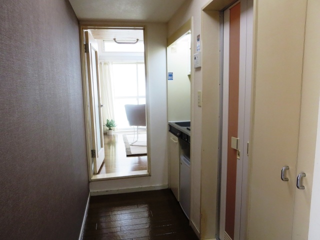 Kitchen. Leo Palace 21 Neyagawa third