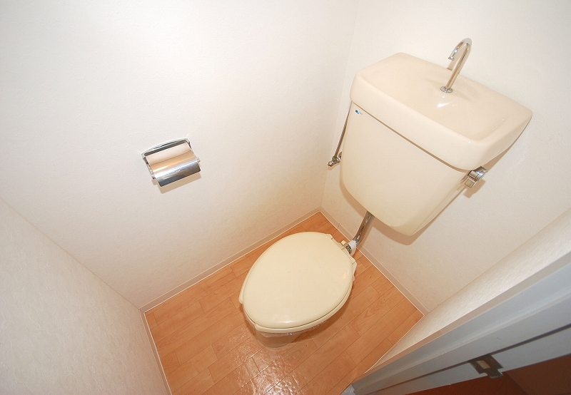 Toilet. Toilet