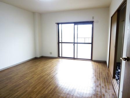 Living and room. Parusoshia