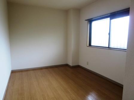Living and room. Parusoshia