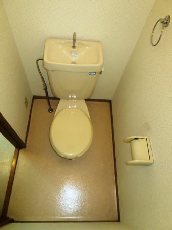 Toilet. Parusoshia