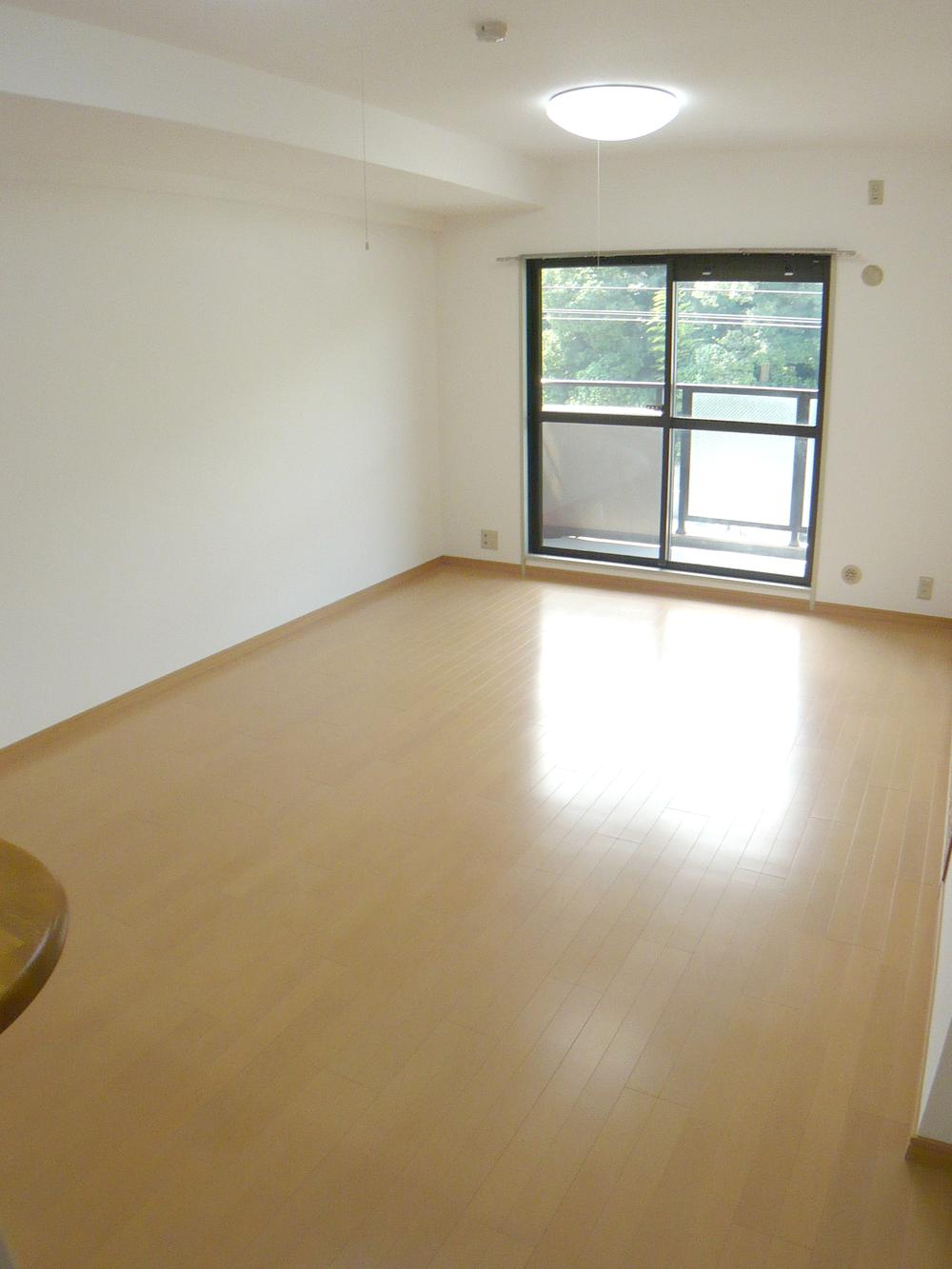 Living. Bright living room