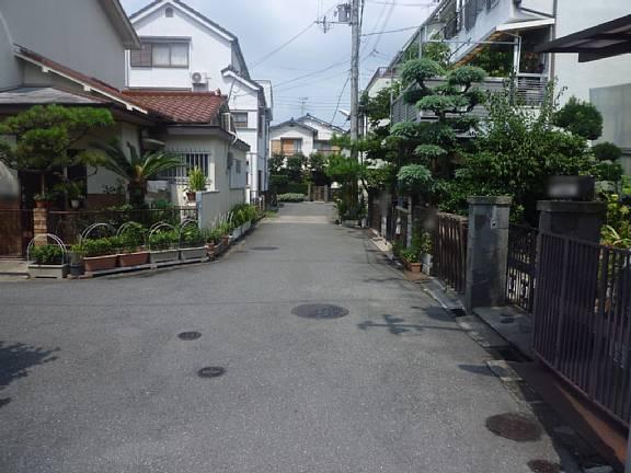Local photos, including front road. Front road spacious! !