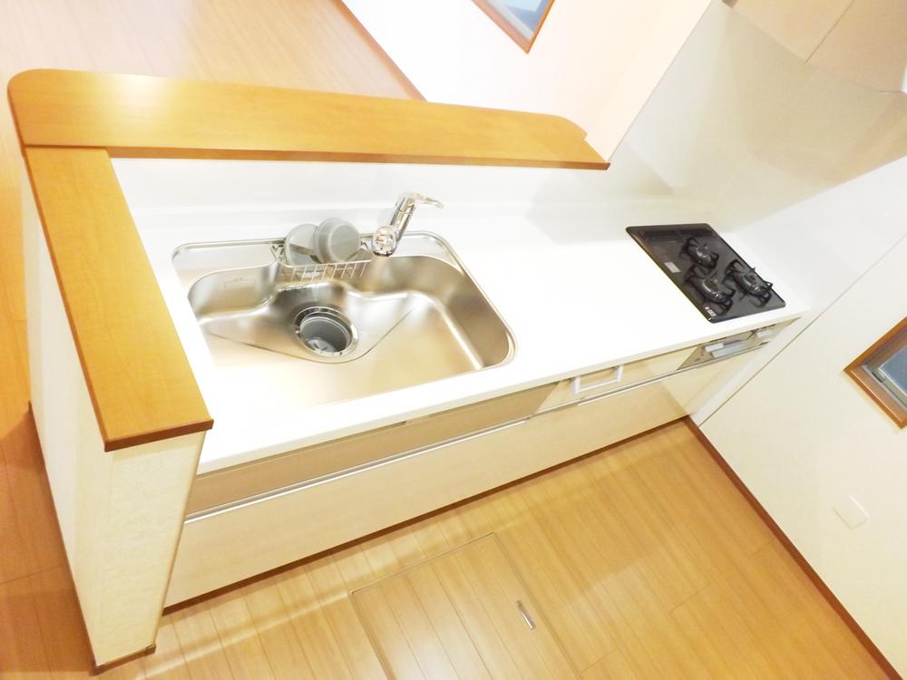 Kitchen. Local photo (kitchen) Slide storage! Water purifier with shower!