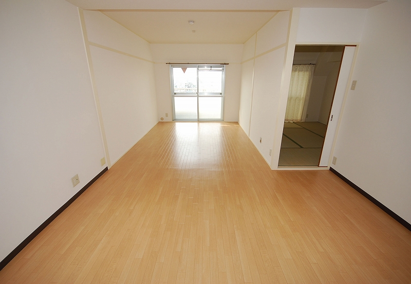 Living and room. Living