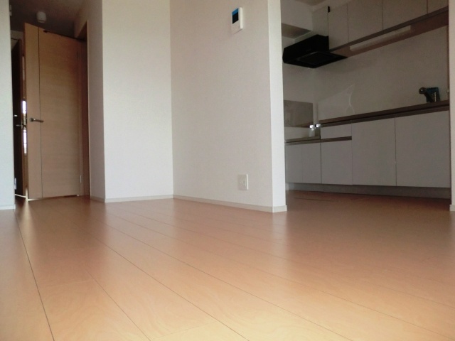 Living and room. SanRyo Residence