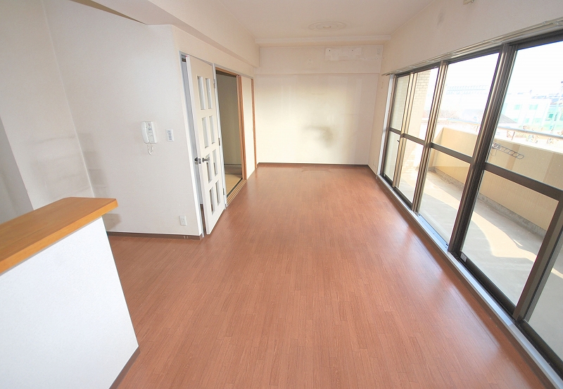 Living and room. Living (1)