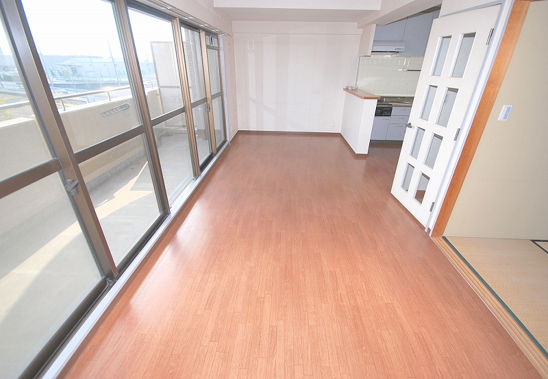 Living and room. Living (2)