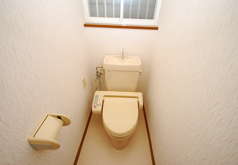 Toilet. Toilet