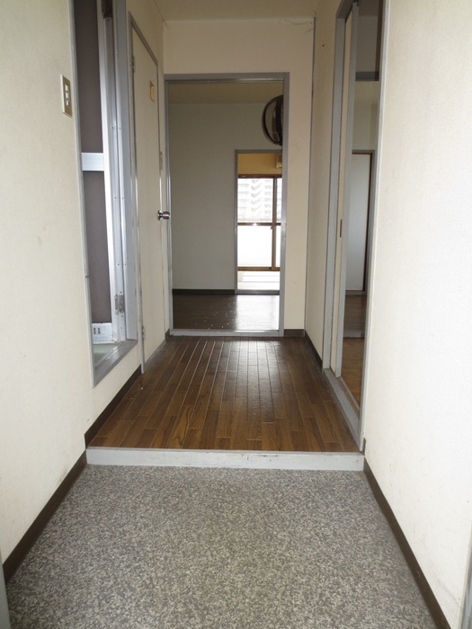Living and room. Entrance
