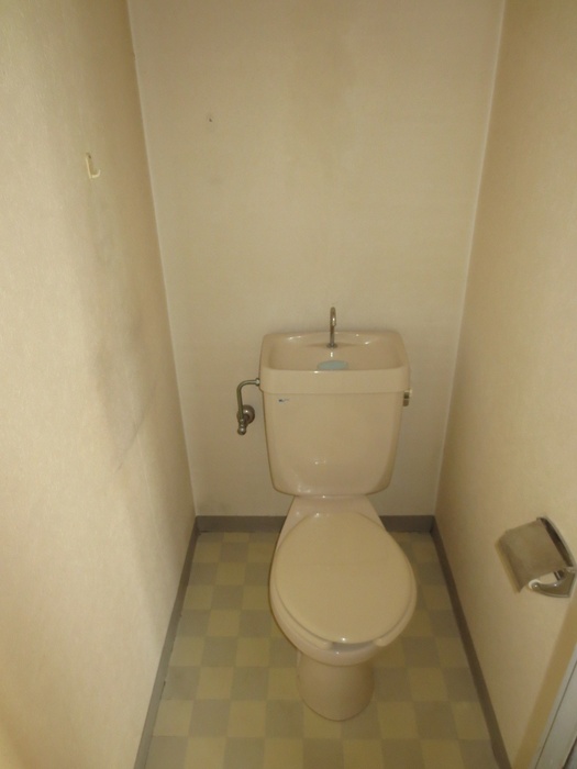 Toilet. Toilet