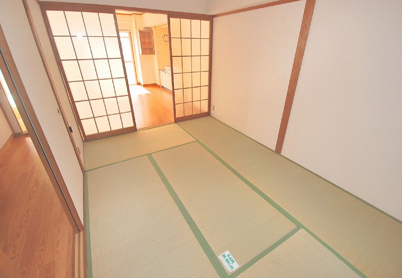 Living and room. For indoor YoshiSo.