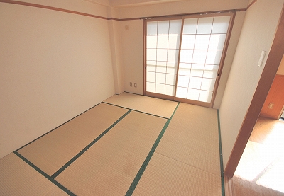 Other room space. Japanese style room