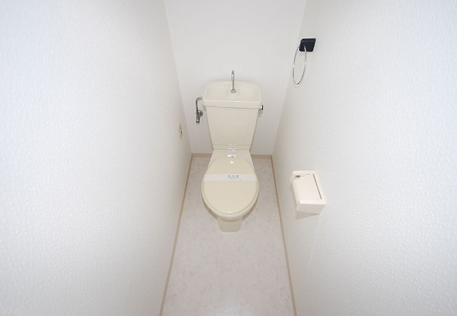 Toilet. Toilet