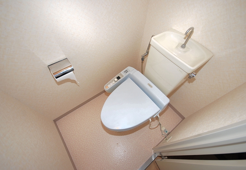 Toilet. Toilet