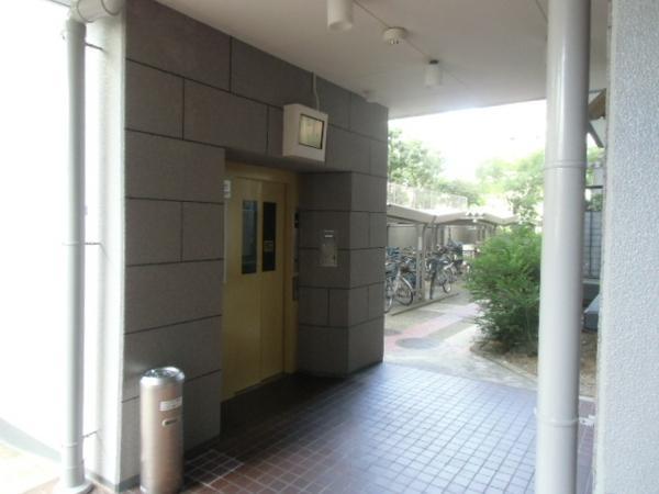 Other. Everyone envision, Why do not you realize the house of ideal