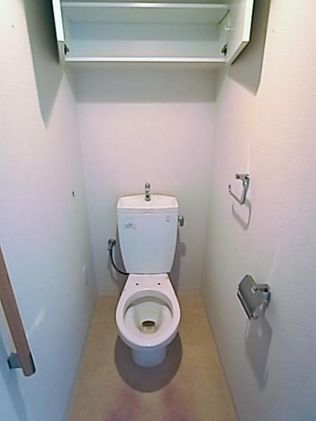 Toilet. Care is simple always clean