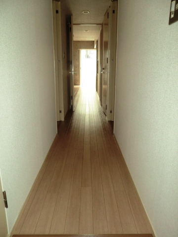 Entrance. Corridor