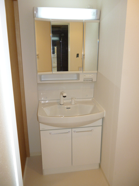 Washroom. Shampoo dresser