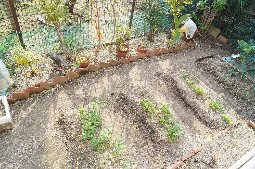 Garden. Is a dedicated garden home garden can also! Spacious 17 sq m !