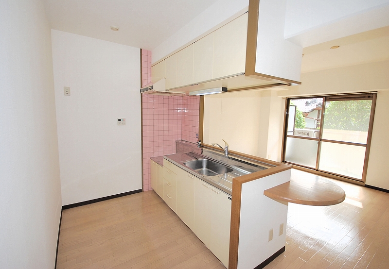 Kitchen. Kitchen