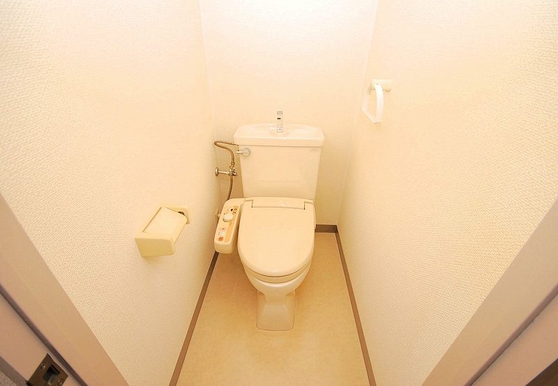 Toilet. Toilet