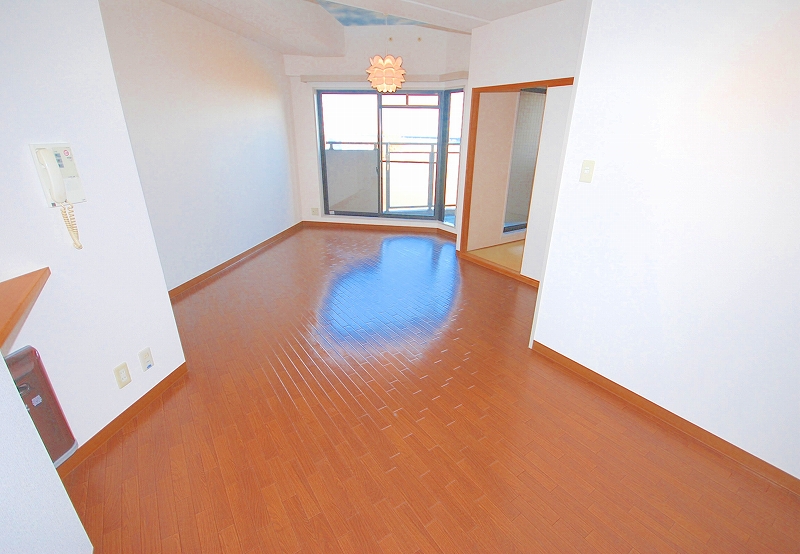 Living and room. Living