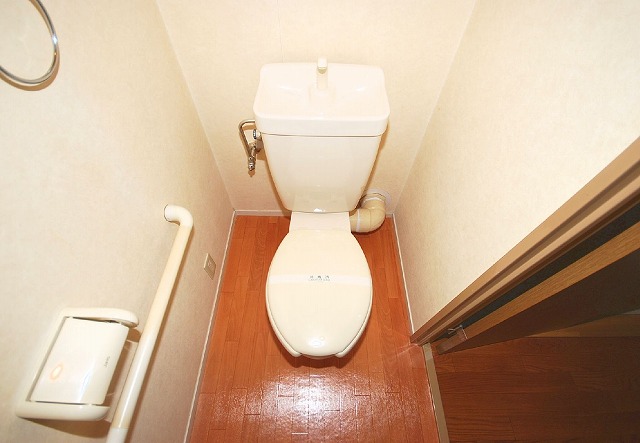 Toilet. Toilet