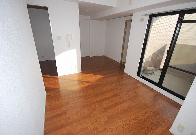 Living and room. Living