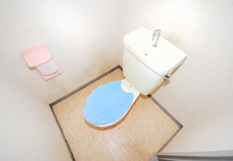 Toilet. Toilet