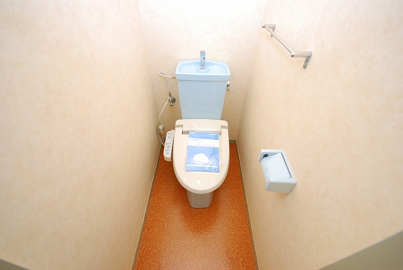 Toilet. Toilet