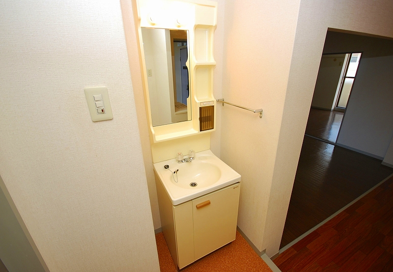 Washroom. Wash basin