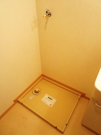 Other. Parusoshia Washing machine in the room