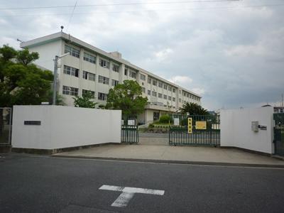 Primary school. Wako Elementary School