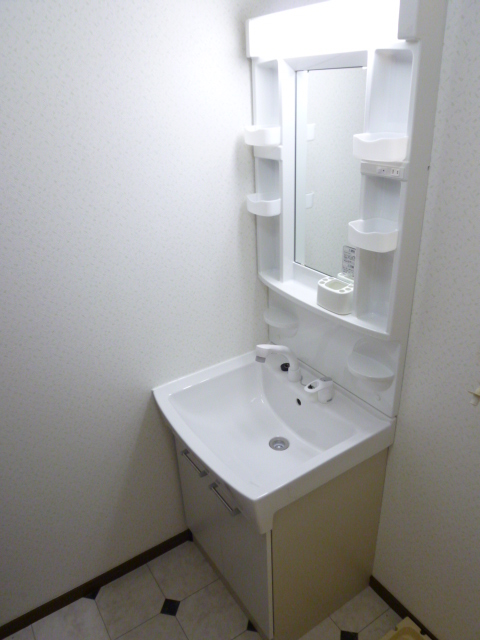 Washroom. New shampoo dresser