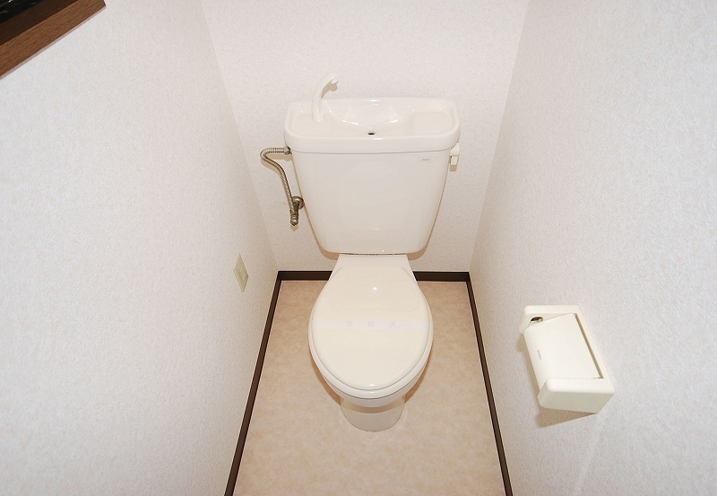 Toilet. Toilet