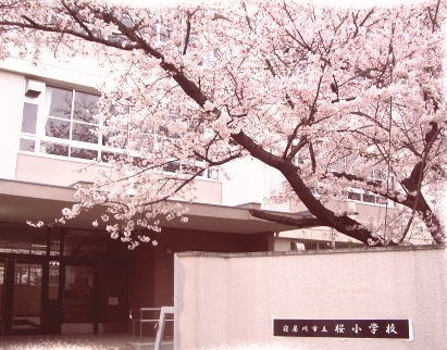 Primary school. Neyagawa Tatsusakura to elementary school (elementary school) 532m