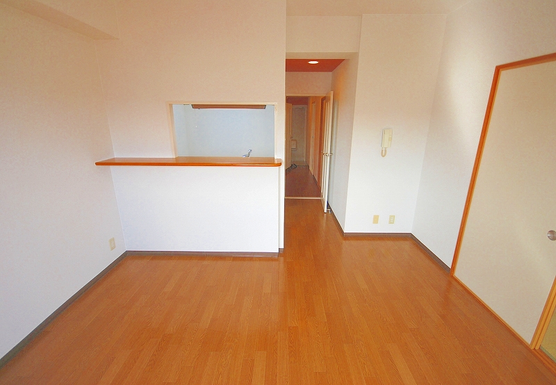 Living and room. Living