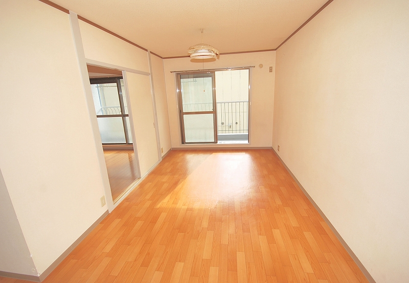 Living and room. Spacious living room
