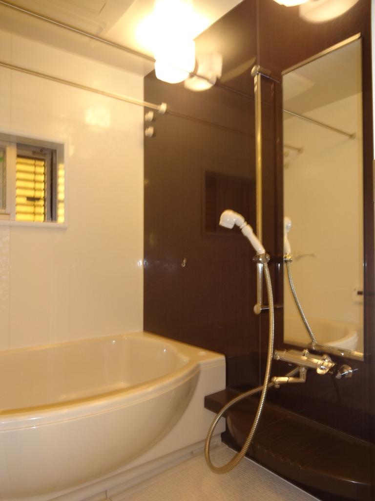 Bathroom. Indoor (12 May 2013) Shooting