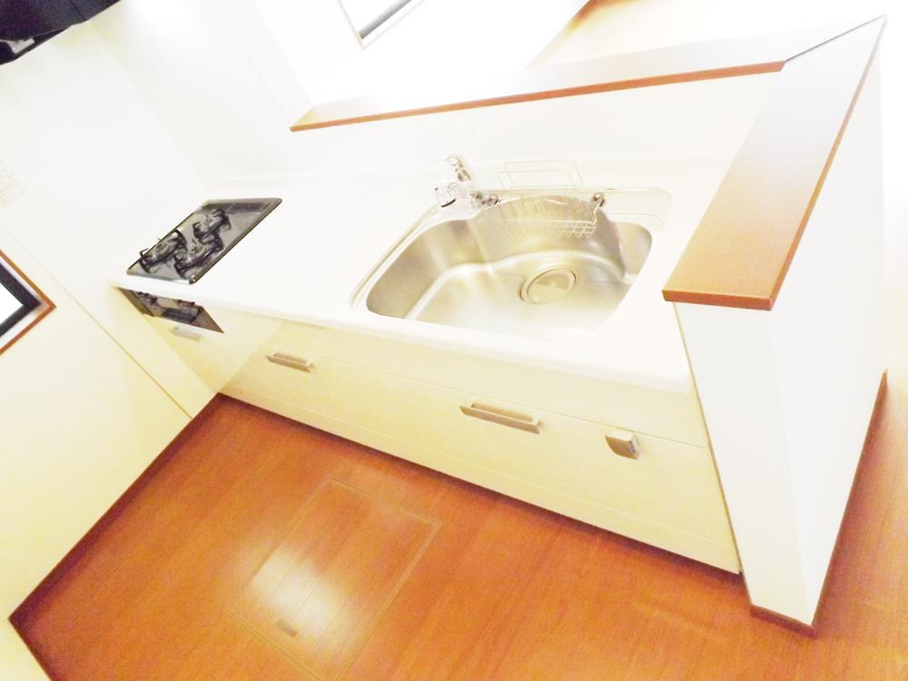 Kitchen. Local photo (kitchen) Slide storage! Water purifier with shower!