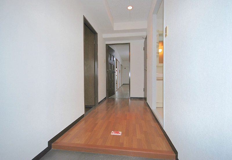 Entrance. Entrance, Corridor