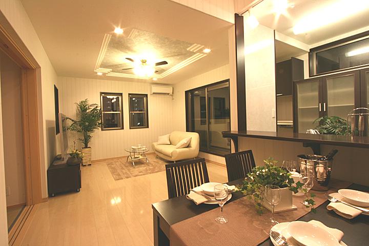 Model house photo. Our construction cases