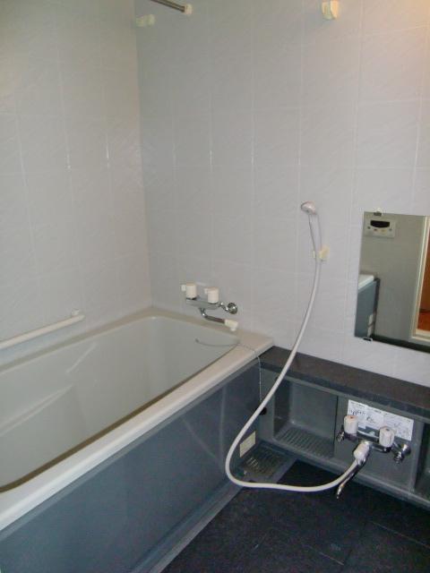 Bathroom. Indoor (12 May 2013) Shooting