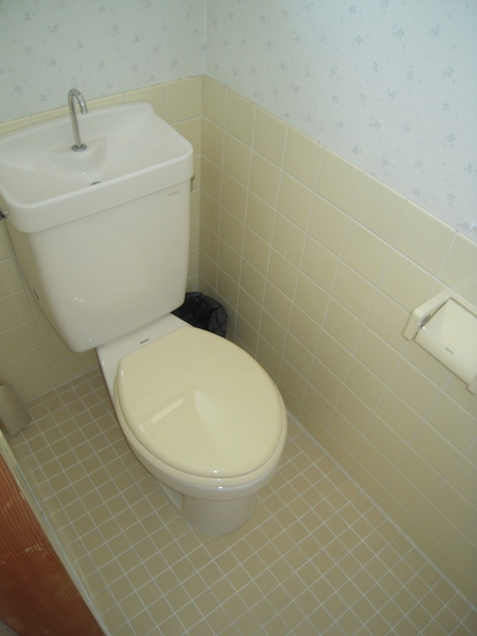 Toilet. Toilet