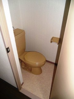 Toilet. Gentry's Okada