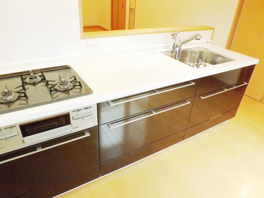 Kitchen. Local photo (kitchen) Slide storage! Water purifier with shower!