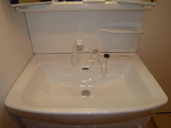 Wash basin, toilet. Convenient Shampoo dresser.